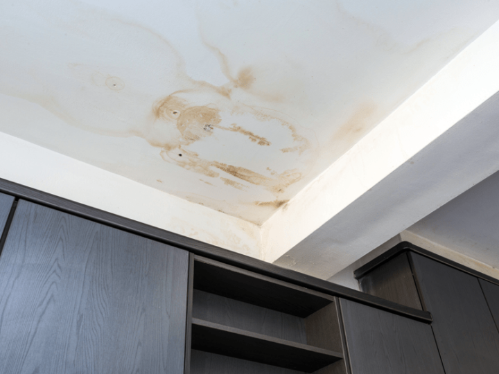 What to Do If You Have Water Damage in Your Home