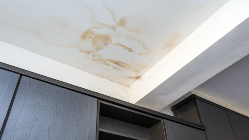 What to Do If You Have Water Damage in Your Home